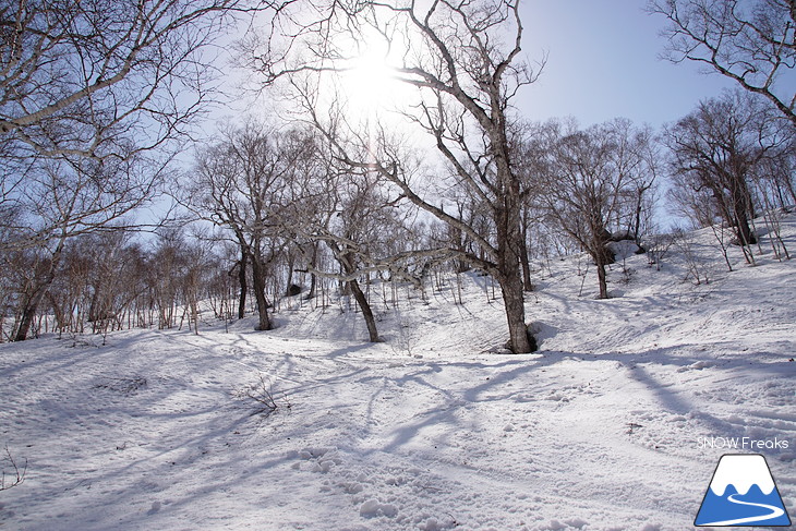 DYNASTAR SKI series Test Ride Days 2017 in ニセコユナイテッド【Day.2】～ニセコグラン・ヒラフ～